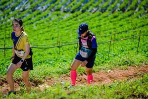 BIB: 040
                            <button type="button" onclick="openModal(19163788)" class="btn btn-primary btn-sm float-right btn-popup" data-toggle="modal" data-target=".modal-high-quality">
                        <i class="fas fa-shopping-cart"></i> Add to Cart
                    </button>
                                            <button type="button" onclick="isThisMe(19163788, true)" class="btn btn-success btn-sm float-right btn-popup btn-isme hidden" data-toggle="tooltip" data-placement="bottom" title="นี่คือรูปของคุณใช่ไหม คลิกที่นี่เพื่อเอาเข้าอัลบั้ม">
                        <i class="fas fa-plus"></i> Add to album
                    </button>
                    <button type="button" onclick="isThisMe(19163788, false)" class="btn btn-warning btn-sm float-right btn-popup btn-isnotme hidden">
                        <i class="fas fa-ban"></i> Remove from album
                    </button>